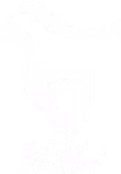 لوگوی بسیج دانشجویی دانشگاه سمنان